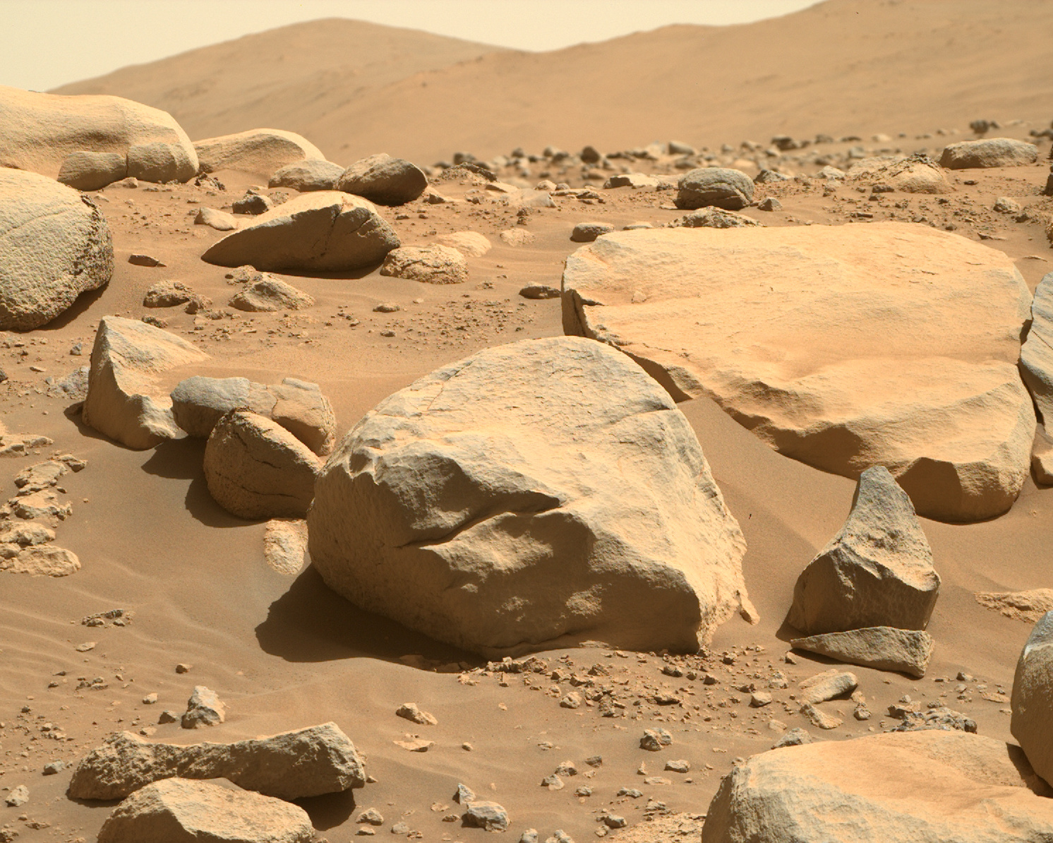Postcard from Mars, June 15, 2023