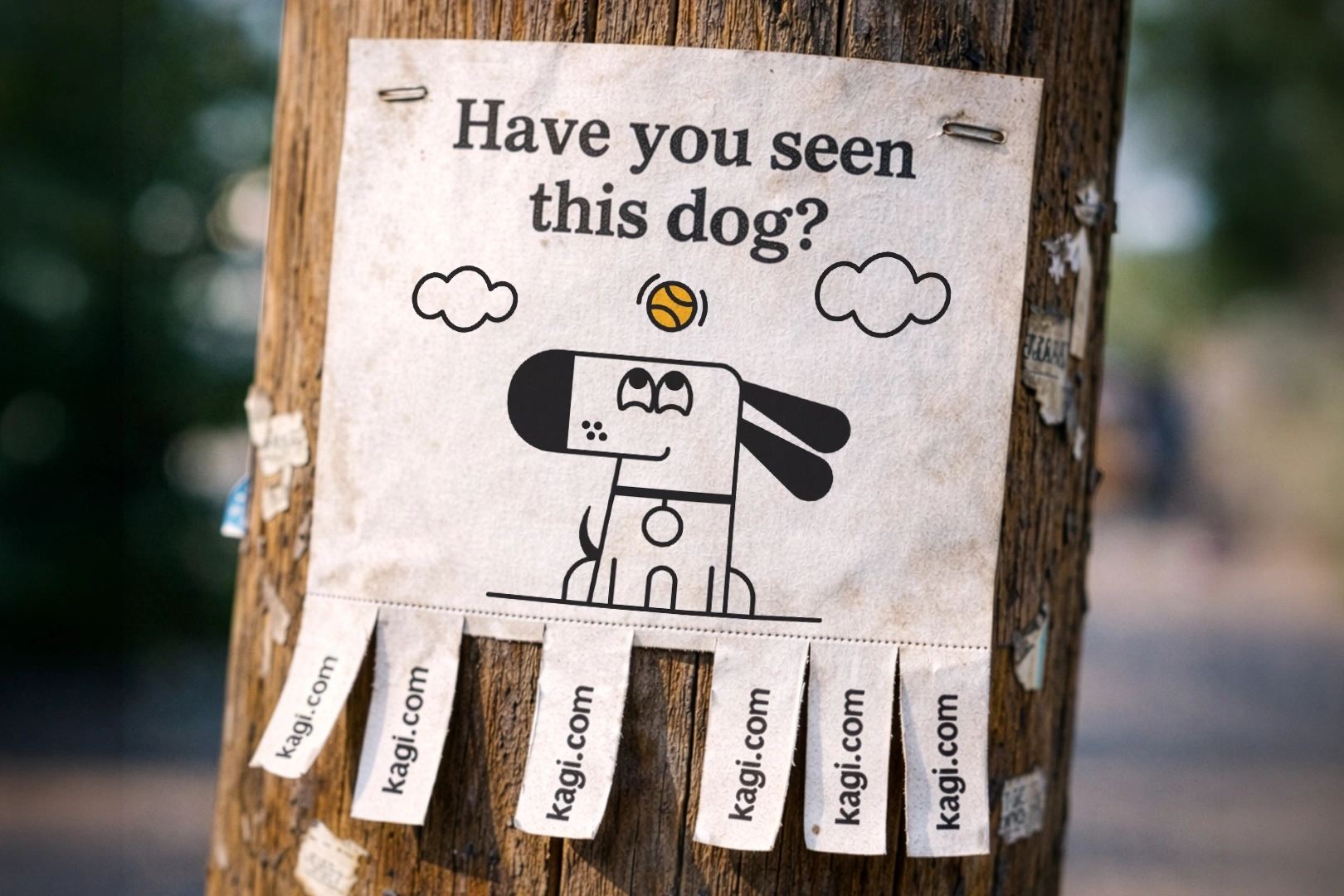Have You Seen This Dog?